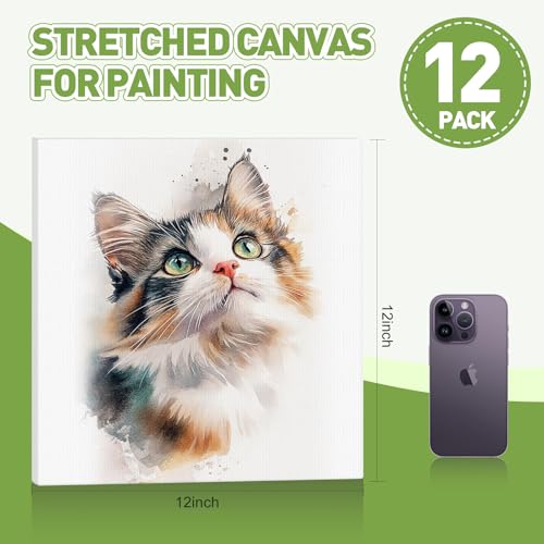 FUMILE Stretched Canvas for Painting 12x12, 12 Pack Square Canvases for Painting-5/8 in Profile Primed White Blank Painting Canvas Value Pack for Oil & Acrylic Paint - size: 12x12IN