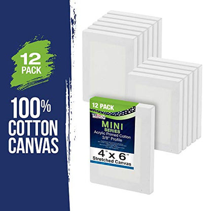 U.S. Art Supply 4x6 Mini Canvases for Painting, 12 Pack Bulk | Small Stretched Artist Canvas Professional Primed - Ideal for Arts & Crafts