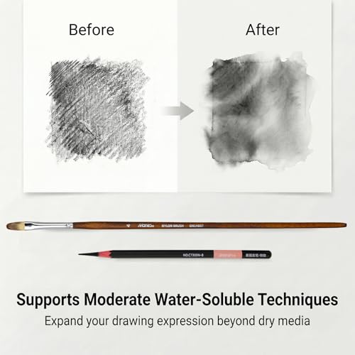 Marie's Charcoal Pencils for Drawing, 10 Pieces, Extra Hard Hard Medium Soft Extra Soft, Sketching Pencils for Artists, Smooth Charcoal Core for Layering, Blending and Detailed Artwork(Soft) - style: Soft (10pcs)