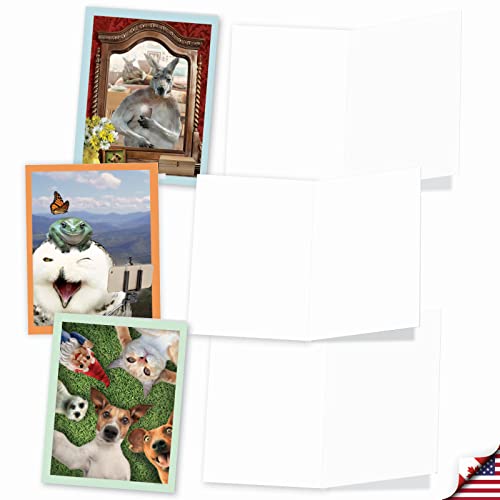 Best Card Co 10 Adorable Note Cards Blank (4 x 5.12 Inch) Wildlife and Animal Cards, Assorted Boxed Set Animal Selfies for Animal Lovers M2373OCB-NB - style: Animal Selfies