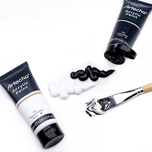 Artecho Professional Acrylic Paint, White and Black (120ml / 4.05oz) Tubes, Art Craft Paints for Canvas, Rock, Stone, Wood, Fabric, Art Supplies - color: White and Black, style: Regular