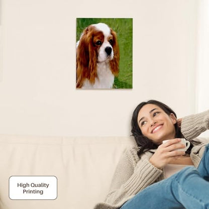 3dRose Cavalier King Charles Spaniels Museum Grade Canvas Wrap 11x14 - size: 11"L x 14"W