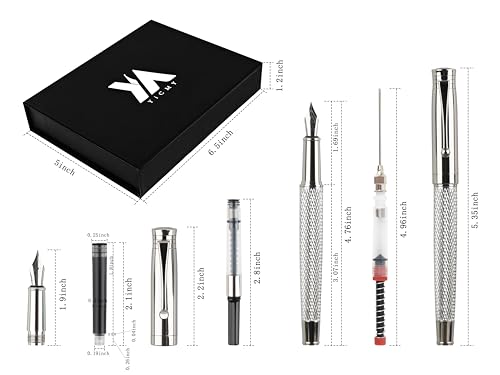 Fancy Fountain Pen Set – Fine & Medium Nibs, Includes 18 Ink Cartridges, Ink Converter, Syringe Filler, Luxury Gift for Writing, Journaling & Calligraphy，Silvery - color: silvery