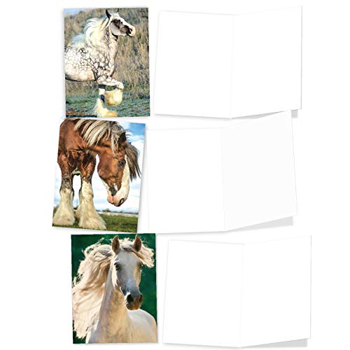 The Best Card Company - 10 Mixed Set Horse Note Cards Blank (4 x 5.12 Inch) - Wildlife, Animal Assorted Boxed Bulk Pack - Horses | Magnificent Manes M4601OCB-B1x10 - style: Magnificent Manes