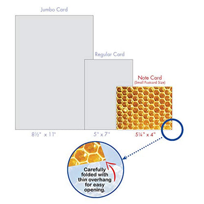The Best Card Company - 10 Assorted Blank Notes Box Set 4 x 5.12 Inch with Envelopes (10 Designs, 1 Each) Boxed Assorted Kid Cards of Pets - HONEY I'M HOME M3060 - style: Honey I'm Home