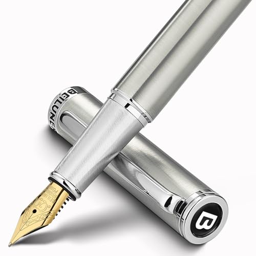 BEILUNER Luxury Fountain Pen Set, Solid 24K Gilded Medium Nib, Silver Stainless Steel Body- Includes 6 Ink Cartridges & Ink Refill Converter with Gift Case - Nice pen for Men and Women - color: Silver, style: Medium Nib