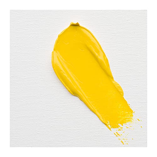 Cobra Study Water Mixable Oil Colour - Permanent Yellow Light 40ml Tube