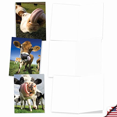 The Best Card Company - 10 Adorable Note Cards Blank (4 x 5.12 Inch) - Wildlife and Animals, Assorted Boxed Set - Cowlicks M4604OCB-B1x10 - style: Cowlicks