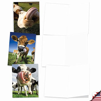 The Best Card Company - 10 Adorable Note Cards Blank (4 x 5.12 Inch) - Wildlife and Animals, Assorted Boxed Set - Cowlicks M4604OCB-B1x10 - style: Cowlicks