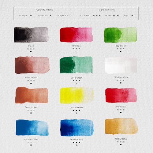 MyArtscape Watercolor Paint Set – 12 x 12ml Highly Pigmented Paint Tubes for Artists, Beginners & Hobbyists | Vibrant Transparent Colors for Blending & Layering
