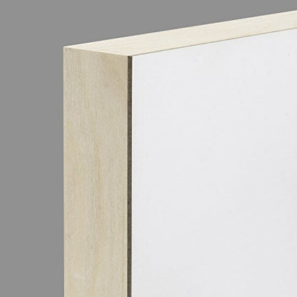 Ampersand Art Supply Museum Series Gessobord | 16x20 | 2" Cradled Profile | Gesso Wood Painting Panel for Oil and Acrylic Paint & Mixed Media | Canvas Panel Alternative in Professional Art Supplies - size: 16" x 20", style: 2 Inch Cradle