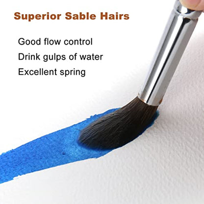 Watercolor Brushes Professional, Fuumuui 8Pcs Sable Paint Brush Set Variety Shapes with Flat, Round Pointed, Cat's Tongue Oval Wash Perfect for Watercolor Acrylic Gouache Inks Painting - color: Black