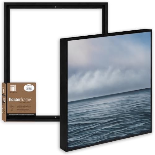 Ampersand Art Supply Floaterframe Readymade Frame for Flat and 7/8" Deep Wood Panel and Canvas Artwork, Paintings, Prints, and More, 24"x24", Black Bold - color: Black Bold, size: 24"x24"
