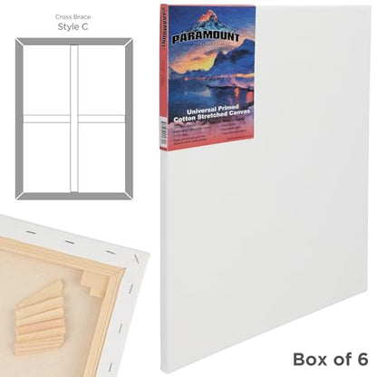 Paramount Canvas for Painting - Pack of 6, 30x40 White Canvases- 11/16" 100% Cotton Stretched Canvas, Triple-Primed for All Media, Medium Tooth, Back-Stapled, 12oz Primed Weight, Wood Stretcher Bars - size: 30x40" - Box of 6