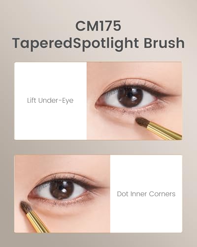 Desert Oak Series Aegyo-Sal Brush Duo - Under-Eye Highlight & Contour Set with Pony Hair, Bubinga Handle (CM175 + CM176) - color: CM-0175+CM-0176, size: 2 Piece