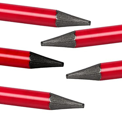 Woodless Graphite Pencil 6 Pack Set, HB, 2B, 4B, 6B, 8B, EE for Sketching, Drawing, Coloring and Shading, Gift for Artist, Hobbyist, Beginner