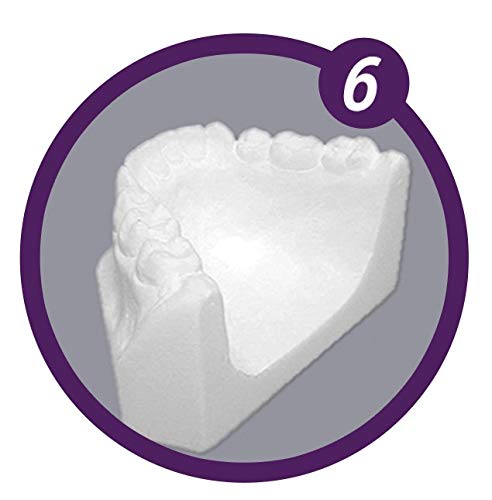 Dental Creations Wonderformer Box and Pour Model Casting Former – Box and Bead Model Former – Stainless Steel – Includes Quick Release Clip and Divider Insert