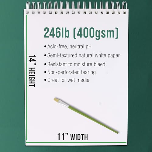 U.S. Art Supply 11x14 Premium Heavy-Weight Acrylic Painting Paper Pad, 246lb (400gsm), 2 Pack, 12 Sheets, Spiral Bound, for Acrylic Paint
