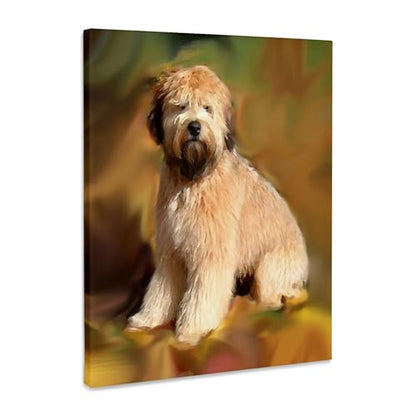 3dRose Soft Coated Wheaten Terrier Museum Grade Canvas Wrap 8x10 - size: 8"L x 10"W
