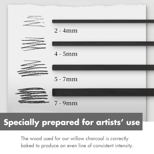 25PCS/Tube Willow Charcoal Sticks - Natural Willow Charcoal for Artists, Beginners, or Students of All Skill Levels - Perfect for Drawing and Sketching, Approx. 5-7mm Dia - style: 5-7mm