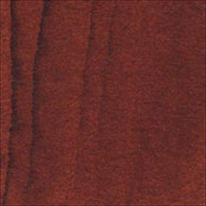 Charbonnel Aqua Wash Etching Ink - Sanguine 60ml Tube,FBA_332399 - color: Sanguine, size: 2 fl oz