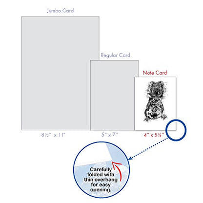 The Best Card Company - 10 Assorted Blank All Occasions Notecards Boxed Set 4 x 5.12 Inch with Envelopes (10 Designs, 1 Each) Boxed Assorted Kid Cards of Pets - CHARCOAL ANIMALS M2956OCB - style: Charcoal Animals