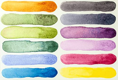 Daniel Smith 285650103 Extra Fine Inspirational Solid Watercolor Paint, Set of 12 Colors, Half Pan, Metal Case and 12 Empty Containers - style: Inspirational Half Pan Set of 12 Colors with Metal Case and 12 Empty Containers