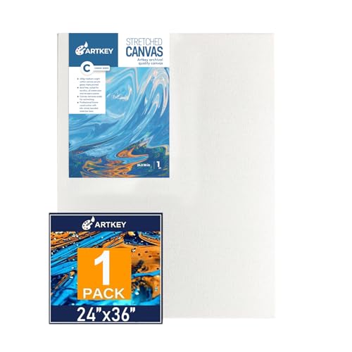 Gallery Wrapped Stretched Canvases for Painting 24x36 Inch 1-Pack, 16 oz Triple Primed Acid-Free 100% Cotton Blank Canvas, Rectangular Spline Canvas for Oil Paint Acrylics Pouring & Wet Art Media - size: 24"x36"(1-Pack), style: Exhibition