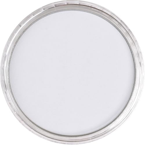 PanPastel Artist Pastels by GOLDEN, Payne's Gray Tint, 2.44” / 62mm Pan Diameter, Professional Artist Pastels, Unique Pan Format (cake-like) - color: Payne's Grey Tint, size: 1 Count (Pack of 1)