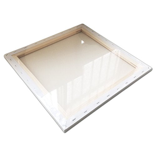 LWR CRAFTS Stretched Canvas 18" X 18" Pack of 2 - size: 18"x18"x2