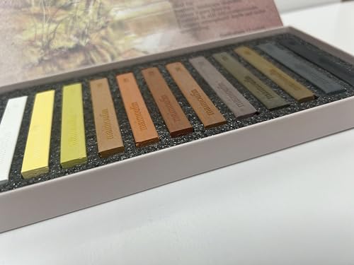 12-Pack Earth Tone Square Soft Pastels Water-Soluble Blendable Artist Drawing Pastels Set for Artists & Hobbyists Drawing, Painting & Sketching (Brown) - color: Brown