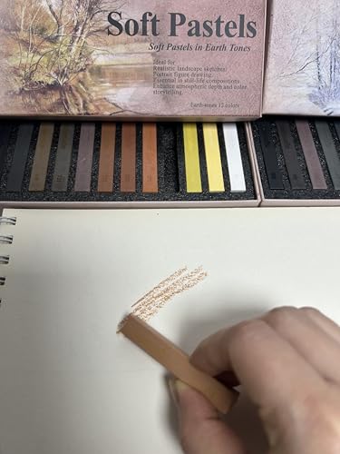 12-Pack Earth Tone Square Soft Pastels Water-Soluble Blendable Artist Drawing Pastels Set for Artists & Hobbyists Drawing, Painting & Sketching (Brown) - color: Brown