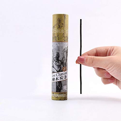 YYMIYU Drawing Pencils Set, Art Sketching Pencils Charcoal Set (Charcoal Sticks 2-4 mm 25pcs 25) - style: Charcoal Sticks 2-4 mm 25pcs 25