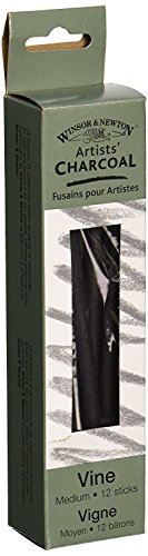 Winsor & Newton Artist Vine Charcoal Sticks, Medium, Box of 12 Sticks - style: Box of 12