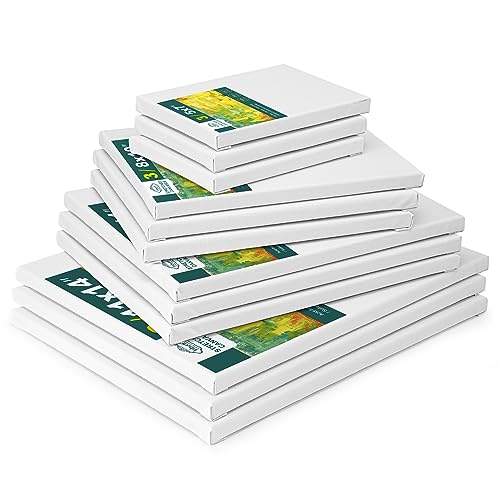 Inburit 12 Pack Canvas for Painting with 11x14, 9 x12, 8x10, 5x7 (3 of Each) Blank Primed Stretched Canvases for Oil, Acrylic & Others, Multi Size Set for Artist, Student and Beginners - size: 12PCS+(4sizex3)