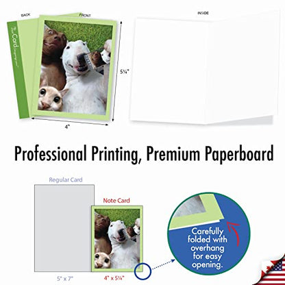 Best Card Co 10 Adorable Note Cards Blank (4 x 5.12 Inch) Wildlife and Animal Cards, Assorted Boxed Set Animal Selfies for Animal Lovers M2373OCB-NB - style: Animal Selfies
