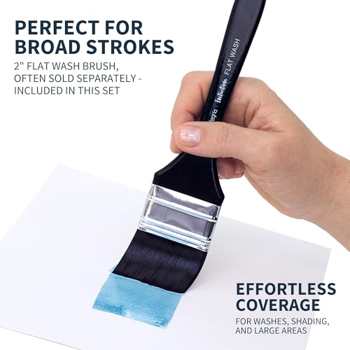 ARTEGRIA Watercolor Brush Set, 9 Professional Soft Synthetic Squirrel Paint Brushes, Including Round Detailers, Flat Wash, Rigger, Rake, Fan, Angled Shader - color: Black - 9pcs