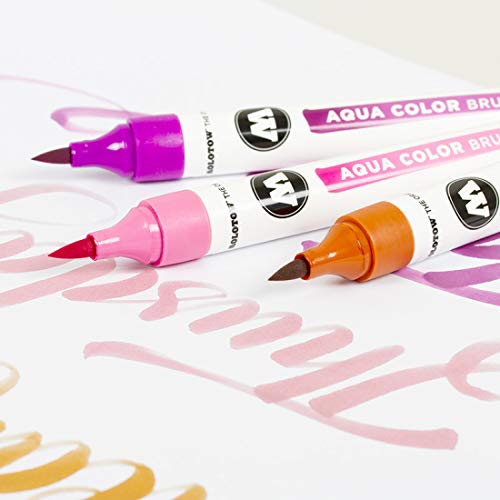 Molotow Aqua Colour Brush (Brush Pen Marker Basic Set 2, Brush Tip for Watercolour and Hand Lettering) 12 Pieces Assorted - style: Case Basic Set 2
