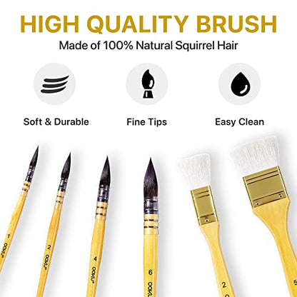 OOKU Professional Quill Brushes Watercolor Set - 6 Pc Real Squirrel Hair Blend Brushes for Consistent Flow - Short Handle Round Paint Brush for Artists, Painting, and Gouache