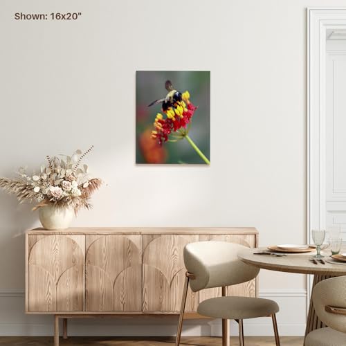 3dRose Museum Grade Canvas Wrap, Multicolor - size: 20"L x 16"W