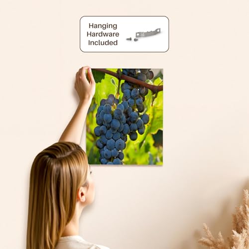 3dRose China, Xinjiang, Xinjiang Uyghur, Manas. Cabernet sauvignon grapes. Museum Grade Canvas Wrap 11x14 - size: 11"L x 14"W