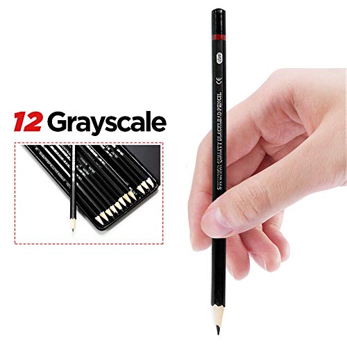 Professional Sketch pencils Drawing pencils set for Kids and Adults,Art sketching pencils for Artists Beginner(8B-2H).(24-Count) - size: 1 Count (Pack of 24)