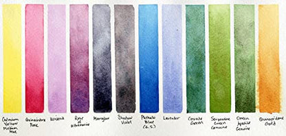 Daniel Smith 285650103 Extra Fine Inspirational Solid Watercolor Paint, Set of 12 Colors, Half Pan, Metal Case and 12 Empty Containers - style: Inspirational Half Pan Set of 12 Colors with Metal Case and 12 Empty Containers