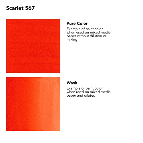 Daler-Rowney FW Acrylic Artists Ink, 180ml/6oz Plastic Bottle, Scarlet (D160181567)