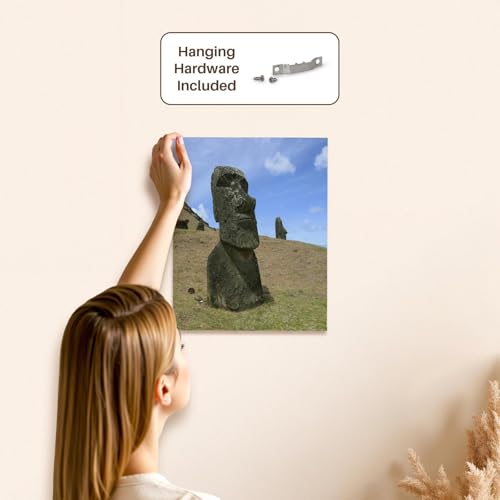 3dRose Rano Raku, Moai quarry, Easter Island, Chile - SA05 DPB0048 - Douglas Peebles Museum Grade Canvas Wrap 11x14 - size: 11"L x 14"W