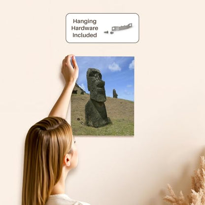 3dRose Rano Raku, Moai quarry, Easter Island, Chile - SA05 DPB0048 - Douglas Peebles Museum Grade Canvas Wrap 11x14 - size: 11"L x 14"W