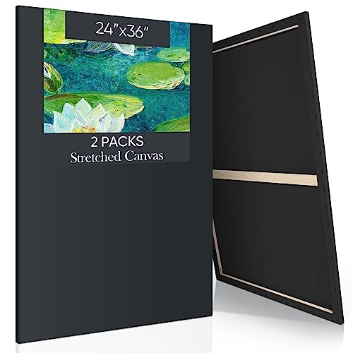 Ctosree 2 Pack Stretched Canvas for Painting, Large Black Cotton Art Large Triple Primed Profile Blank Canvases for Watercolor Acrylics Oil Painting(24 x 36 Inch) - size: 24 x 36 Inch