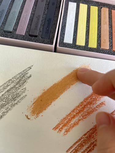 12-Pack Earth Tone Square Soft Pastels Water-Soluble Blendable Artist Drawing Pastels Set for Artists & Hobbyists Drawing, Painting & Sketching (Brown) - color: Brown