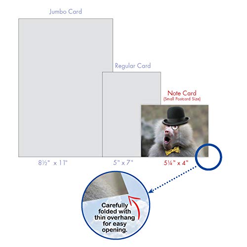 The Best Card Company - 10 Adorable Note Cards Blank (4 x 5.12 Inch) - Wildlife and Animal, Assorted Boxed Set - Capped Creatures M6470OCB - style: Capped Creatures