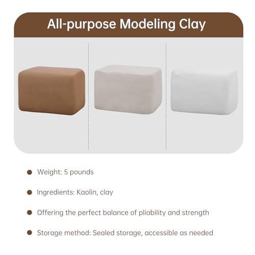Sculpting Clay, Modeling Clay, 5.5lbs Natural Air Dry Clay Kit with Pottery Sculpting Tool Set, Pottery Clay for Adult - Bright White - color: Bright White